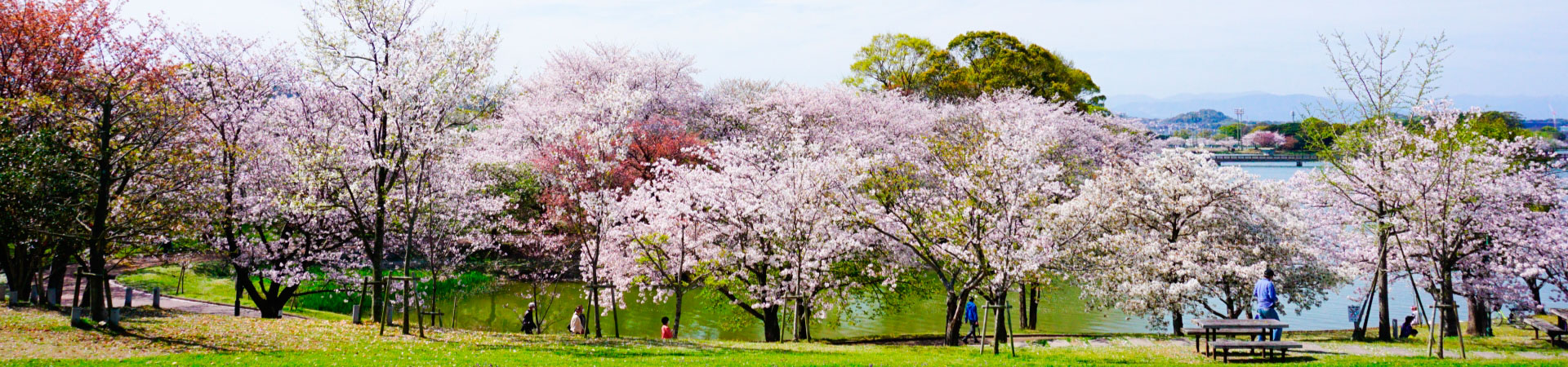 心と発達の相談室　ひだまり