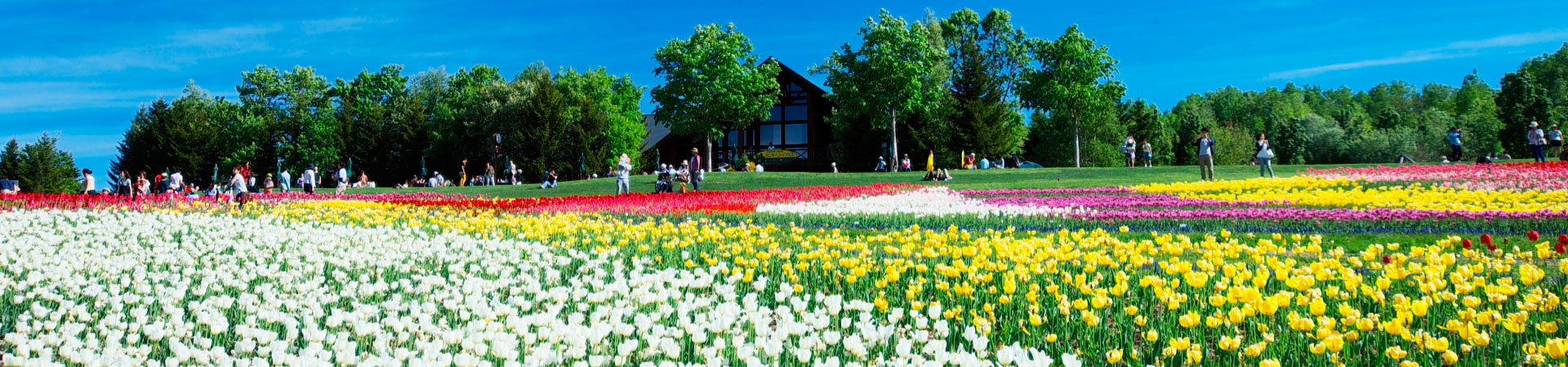 心と発達の相談室　ひだまり